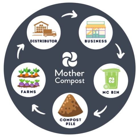 A graphic displaying the circular waste stream created by composting. Organics collected in your Mother Compost bin move to the compost pile, are eventually processed into fertilizer for farms, whose food products go through distributors to businesses and organizations, and eventually wind up back in the Mother Compost bin.